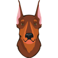 A doberman dog head on a black background png