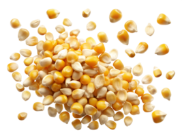 Dried corn kernels scattered on a white background, isolated transparent png