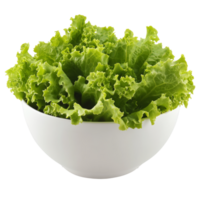 Fresh lettuce in a white bowl, cut out transparent png
