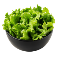 Fresh green lettuce in a black bowl on a table, cut out transparent png