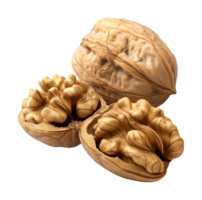 Close-up of walnuts texture and shape, cut out transparent png
