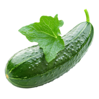 Fresh cucumber with a green leaf resting on top, transparent png