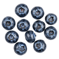Fresh blueberries arranged in a circular pattern isolated transparent background png