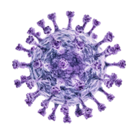 cerca arriba ver de un virus en púrpura y azul colores aislado transparente antecedentes png