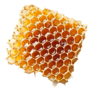 Honeycomb structure displaying honey isolated transparent background png