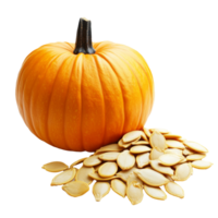 Pumpkin and seeds on white background isolated transparent background png