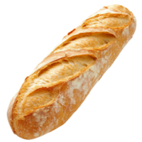 Freshly baked baguette from a local bakery isolated transparent png