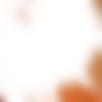 Blurred edges fade into a transparent gradient creating a seamless shift png