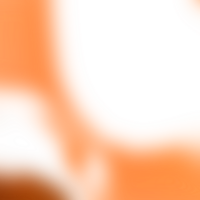 Layers of blur fade into a transparent gradient creating subtle movement png