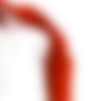 Fluid forms blend seamlessly into a transparent gradient png