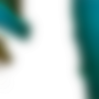 Soft transitions connect forms into a transparent flowing gradient png