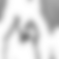Shapes blur softly into a transparent gradient merging seamlessly png