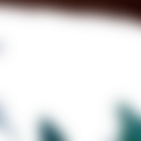 A delicate transition merges forms crafting a transparent gradient png