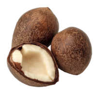 Freshly opened brown sapote fruit on display isolated transparent png