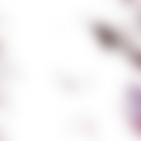 Shapes dissolve softly into a transparent fluid gradient png