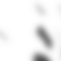 The merging of forms creates a transparent fluid gradient png