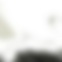 Soft transitions merge forms into a transparent flowing gradient png