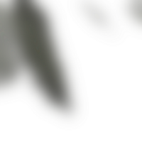Soft transitions blend shapes into a transparent fluid gradient png