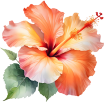 Captivating Red Chinese Hibiscus Art. . png