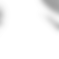 Forms dissolve gently into a transparent fluid gradient png