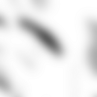 The merging of forms creates a transparent seamless gradient png