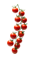 Vine ripened cherry tomatoes with droplets isolated transparent png