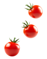 Red tomatoes falling on white isolated transparent png
