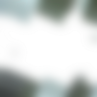 Smooth transitions merge shapes into a transparent flowing gradient png