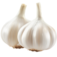 Fresh garlic bulbs displayed on a clean surface isolated transparent png