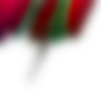Gradual blending integrates shapes into a continuous transparent gradient png
