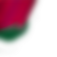 Shapes gently fuse into a seamless transparent gradient through smooth blending png