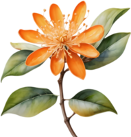 Kinmokusei Flower, Japans Fragrant Fall Icon. . png