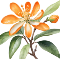 Fragrant Kinmokusei, Japans Autumn Air Freshener. . png