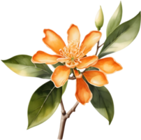 Delightful Kinmokusei Bloom in Warm Tones. . png