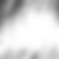 Elements dissolve softly into each other leaving behind a barely-there gradient png