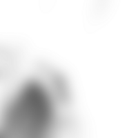A transparent fluid gradient forms as shapes gradually blend png