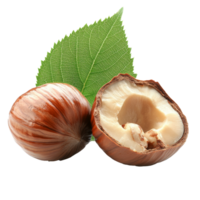 Hazelnuts with green leaf, white bg isolated transparent png