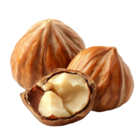 Hazelnuts half cracked open on a white surface isolated transparent png