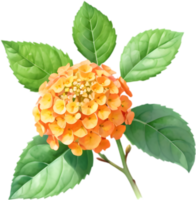 Eye-catching Lantana Flower Cluster Art. . png
