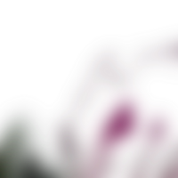 Smooth blending softly merges shapes into a transparent continuous gradient png