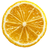 Freshly cut lemon slice on a white background isolated transparent png