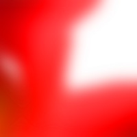 Fluid transitions merge elements creating a transparent subtle gradient png