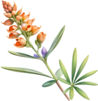 Versatile Lupine Flower Art for Various Projects. . png