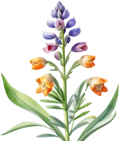 Beautiful Lupine Flower Graphics for Nature Themes. . png