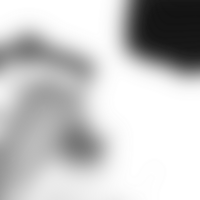 Gradual shifts create the illusion of fading forms in a transparent arrangement png