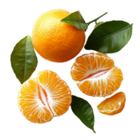 Sliced oranges and leaves on white isolated transparent png