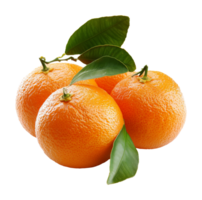 Fresh oranges with leaves on a white background isolated transparent png
