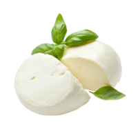 Fresh mozzarella with basil on display isolated transparent png