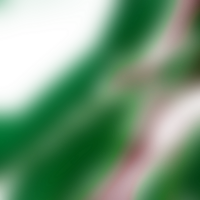 A soft transition shapes forms into a transparent subtle gradient png