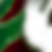 The blending of forms creates a transparent delicate gradient png